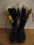 cat2311072018.jpg