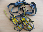 eisen_harness.jpg