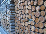 holztuer0508071854a.jpg