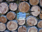 holztuer0508071854b.jpg
