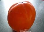 kaki2111101048.jpg