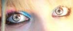 kittycontacts.jpg