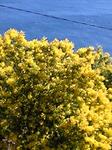 picture00100.jpg