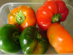 tomatenpaprika1609081720.jpg
