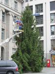 weihnachtsbaum1.jpg