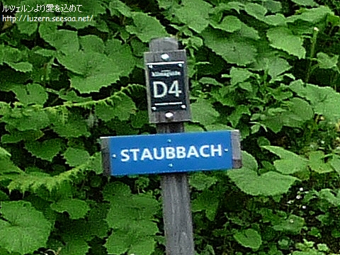 muerren1906111117a.jpg