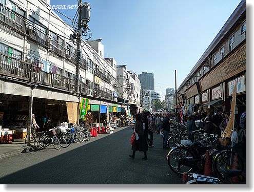 tokyo3110111229.jpg
